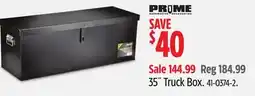 Canadian Tire the Club 35˝ Truck Box offer