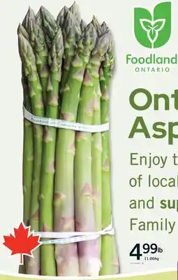 Fortinos ONTARIO ASPARAGUS offer