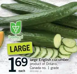 Fortinos LARGE ENGLISH CUCUMBER, LARGE offer