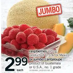 Fortinos RASPBERRIES, 170 g or JUMBO CANTALOUPE offer