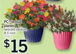 Fortinos PC ANNUAL PLANTER, 8.5 inch offer