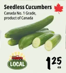 Farm Boy Seedless Cucumbers offer