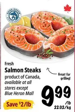 Farm Boy Fresh Salmon Steaks offer