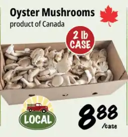 Farm Boy Oyster Mushrooms offer