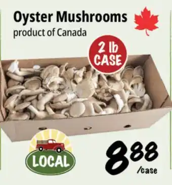 Farm Boy Oyster Mushrooms offer