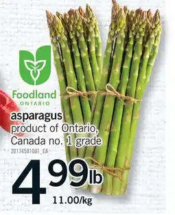 Fortinos ASPARAGUS offer