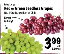 Farm Boy Extra Large Red or Green Seedless Grapes offer