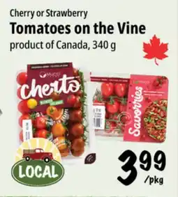Farm Boy Cherry or Strawberry Tomatoes on the Vine offer