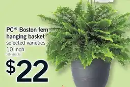 Fortinos PC BOSTON FERN HANGING BASKET, 10 INCH offer