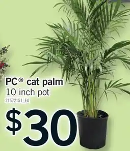 Fortinos PC CAT PALM 10 INCH POT offer