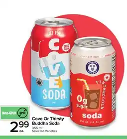 Metro COVE OR THIRSTY BUDDHA SODA offer