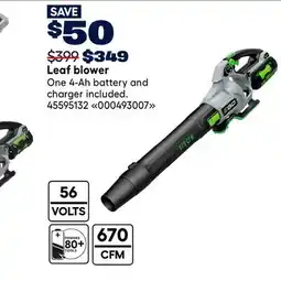 RONA EGO Leaf blower offer