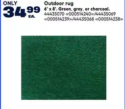 RONA VALU+ Outdoor rug 6' x 8'. Green, grey, or charcoal offer