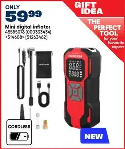 RONA Mini digital inflator offer