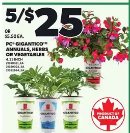 Loblaws PC GIGANTICO ANNUALS, HERBS OR VEGETABLES, 4.33 INCH offer