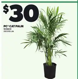Loblaws PC CAT PALM, 10 INCH offer