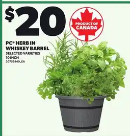Loblaws PC HERB IN WHISKEY BARREL, 10 INCH offer