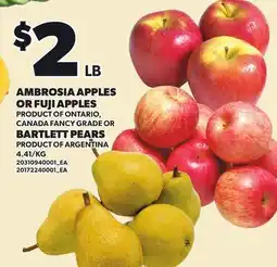 Loblaws AMBROSIA APPLES OR FUJI APPLES OR BARTLETT PEARS offer