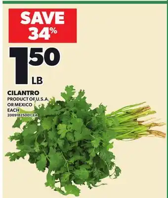 Loblaws CILANTRO offer