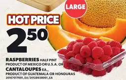 Loblaws RASPBERRIES HALF PINT OR CANTALOUPES EA offer