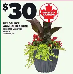 Loblaws PC DELUXE ANNUAL PLANTER, 11 INCH offer