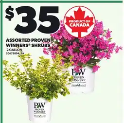 Loblaws ASSORTED PROVEN WINNERS SHRUBS, 2 GALLON offer