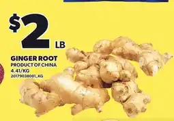 Loblaws GINGER ROOT offer