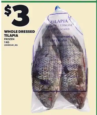 Loblaws WHOLE DRESSED TILAPIA offer