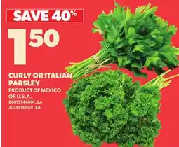 Loblaws CURLY OR ITALIAN PARSLEY offer