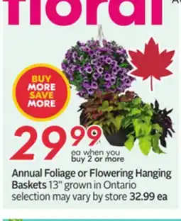 Sobeys Annual Foliage or Flowering Hanging Baskets offer