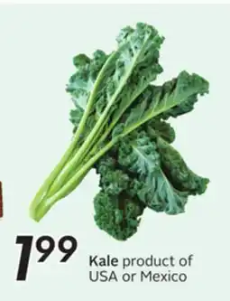 Sobeys Kale offer