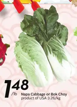 Sobeys Napa Cabbage or Bok Choy offer