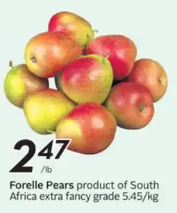 Sobeys Forelle Pears offer