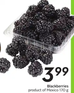 Sobeys Blackberries offer