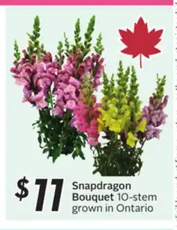 Sobeys Snapdragon Bouquet 10-stem grown in Ontario offer