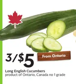 Sobeys Long English Cucumbers offer