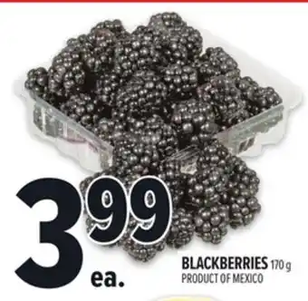 Metro BLACKBERRIES offer