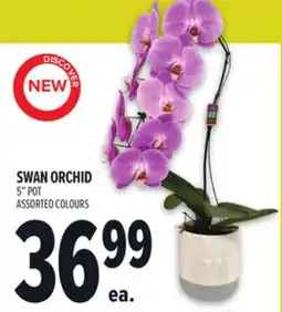 Metro SWAN ORCHID offer