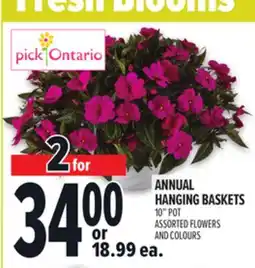 Metro ANNUAL HANGING BASKETS | offer