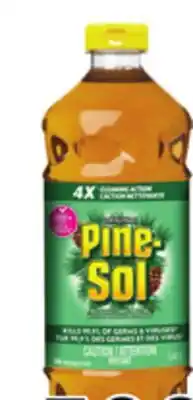 Metro PINE-SOL CLEANERS OR CLOROX BLEACH offer