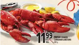 Metro FRESH COOKED CANADIAN LOBSTERS offer