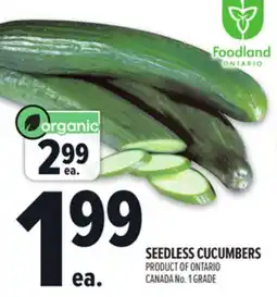 Metro SEEDLESS CUCUMBERS offer