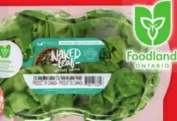 Metro LIVING LETTUCES offer