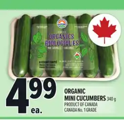 Metro ORGANIC MINI CUCUMBERS offer