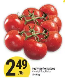 Marché Adonis red vine tomatoes offer