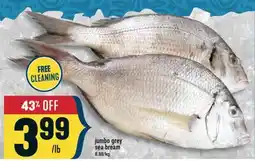 Marché Adonis jumbo grey sea bream offer