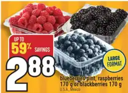 Marché Adonis blueberries pint, raspberries 170 g or blackberries offer