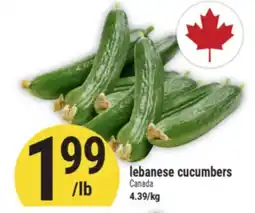 Marché Adonis lebanese cucumbers offer