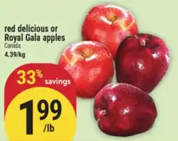 Marché Adonis red delicious or Royal Gala apples offer