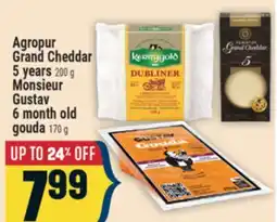 Marché Adonis Agropur Grand Cheddar 5 years 200 g Monsieur Gustav 6 month old gouda 170 g offer